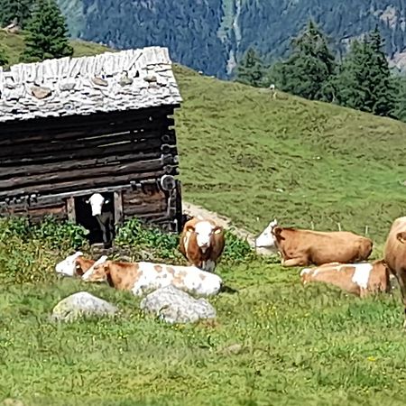 Ferienhaus Grofn Matrei in Osttirol Exterior photo