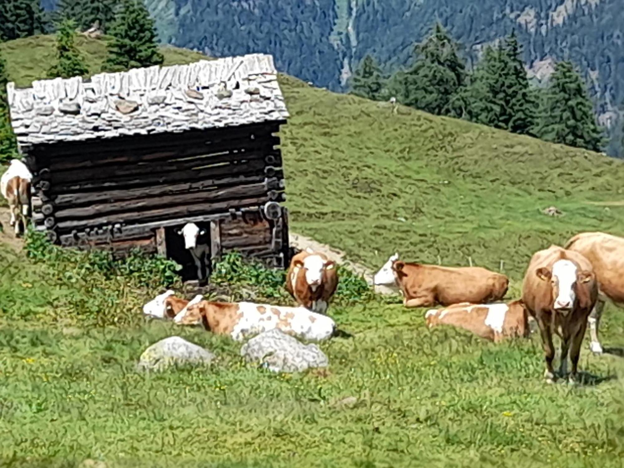 Ferienhaus Grofn Matrei in Osttirol Exterior photo